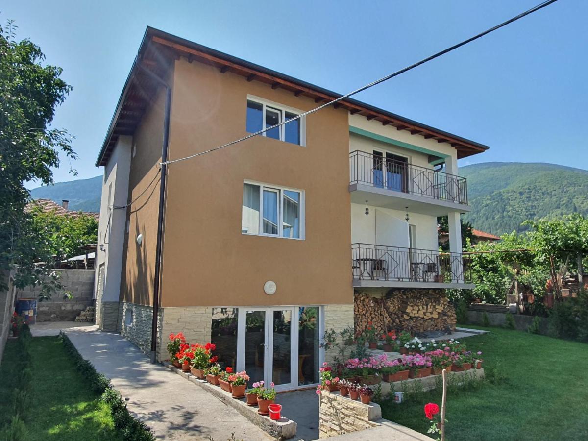 Дамяновата Къща Hotel Sapareva Banya ภายนอก รูปภาพ